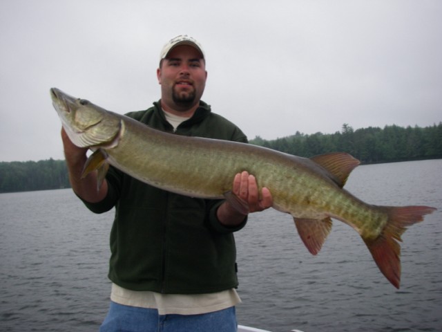MuskieFIRST  hughes river bait » Lures,Tackle, and Equipment