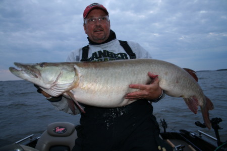 Musky Hunter - Tranx Test I have spent some time testing the new Shimano  Tranx 400 and 400HG reels with several different musky lures, and my  overall reaction is that they are
