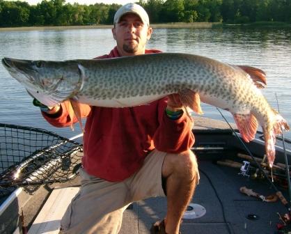 MuskieFIRST  Shimano Calcutta TE CTE400LJV Lucanus versus