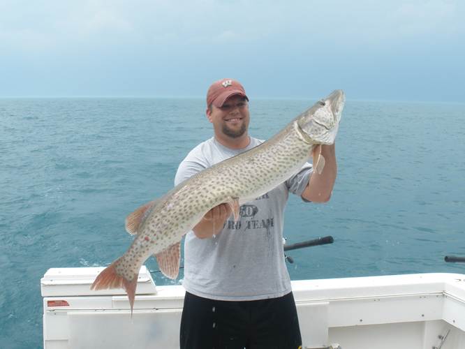 Big Musky Tangled In The Net! Now What? 