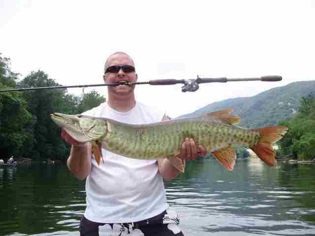 MuskieFIRST  Musky Rods. St. Croix or Tackle Industries