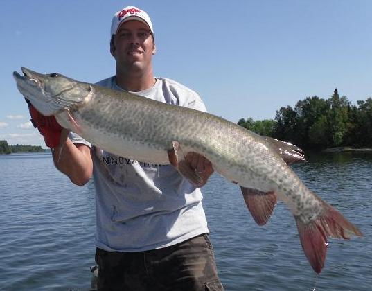 MuskieFIRST  Durability question on musky reels » Lures,Tackle, and  Equipment » Muskie Fishing