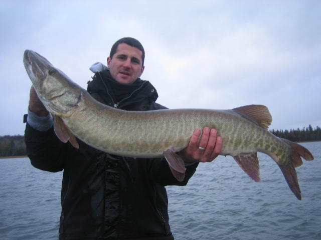 https://muskie.outdoorsfirst.com/board/profile/get-photo.asp?memberid=6183&type=profile&rnd=103