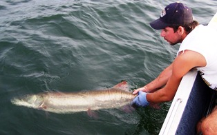 Fall Muskie Fishing - Collins River with Dwayne Hickey