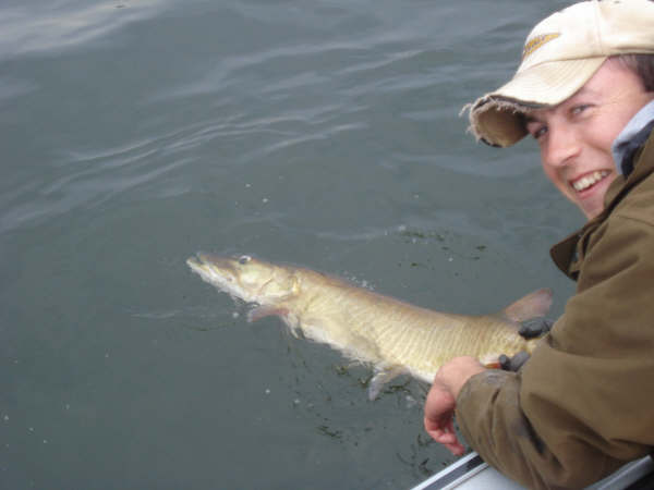 MuskieFIRST  River Gear? » Lures,Tackle, and Equipment » Muskie Fishing