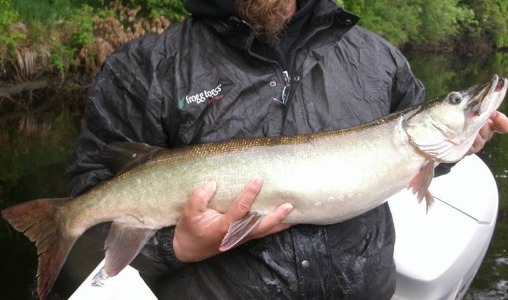 https://muskie.outdoorsfirst.com/board/profile/get-photo.asp?memberid=9372&type=profile&rnd=173